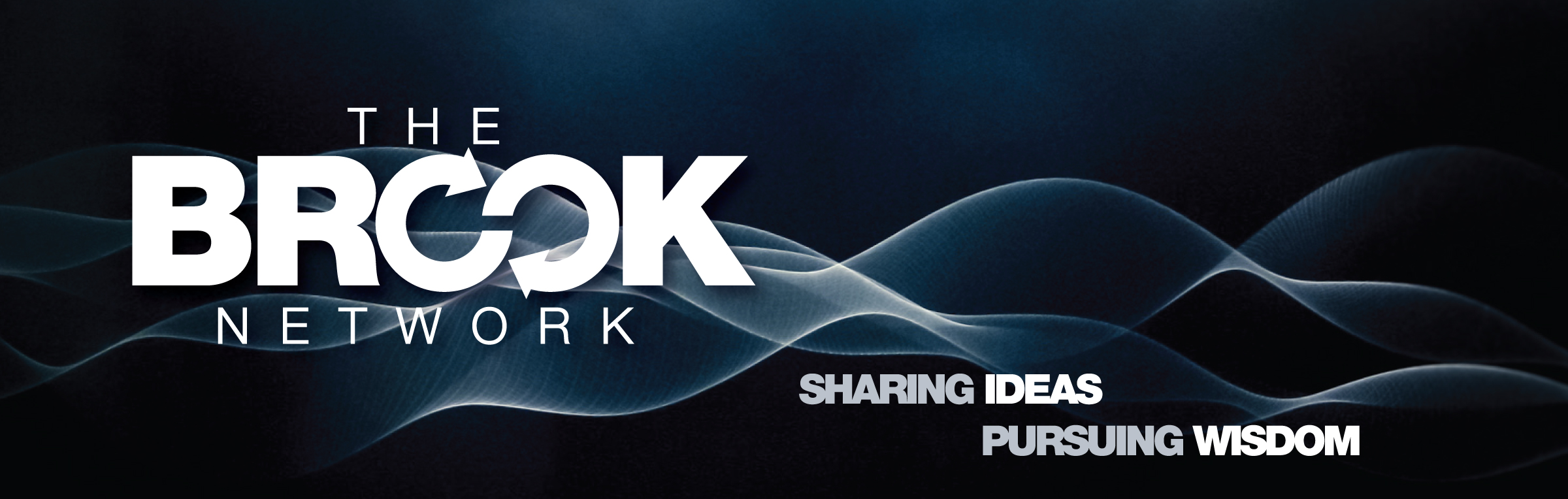 discovery-exceeds-our-expectations-the-brook-network